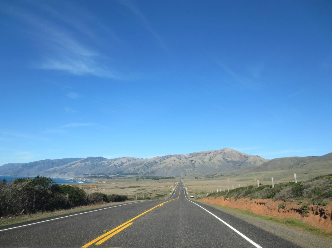 Old Coast Road-大苏尔必去景点