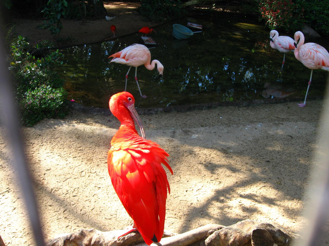 Parque das Aves-伊瓜苏必去景点