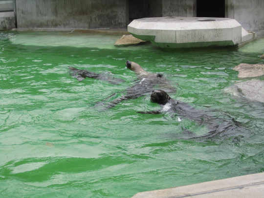 慕尼黑动物园-慕尼黑必去景点