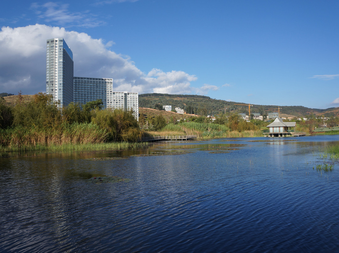 抚仙湖悦椿度假酒店主图
