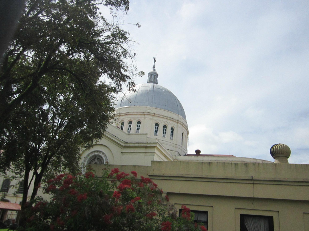San Diego Pro-Cathedral景点图片