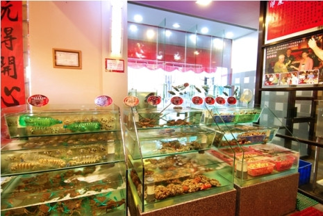 Kintamani Organic Farm & Tour-金塔马尼必去景点