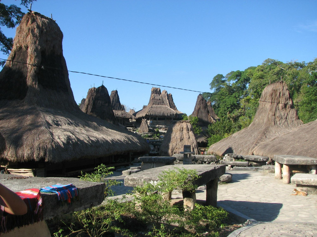 Tarung Cultural Villag景点图片