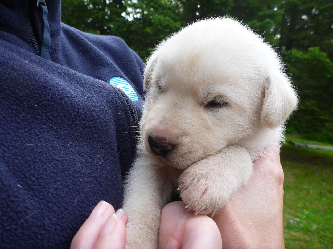 Turning Heads Kennel-苏厄德必去景点