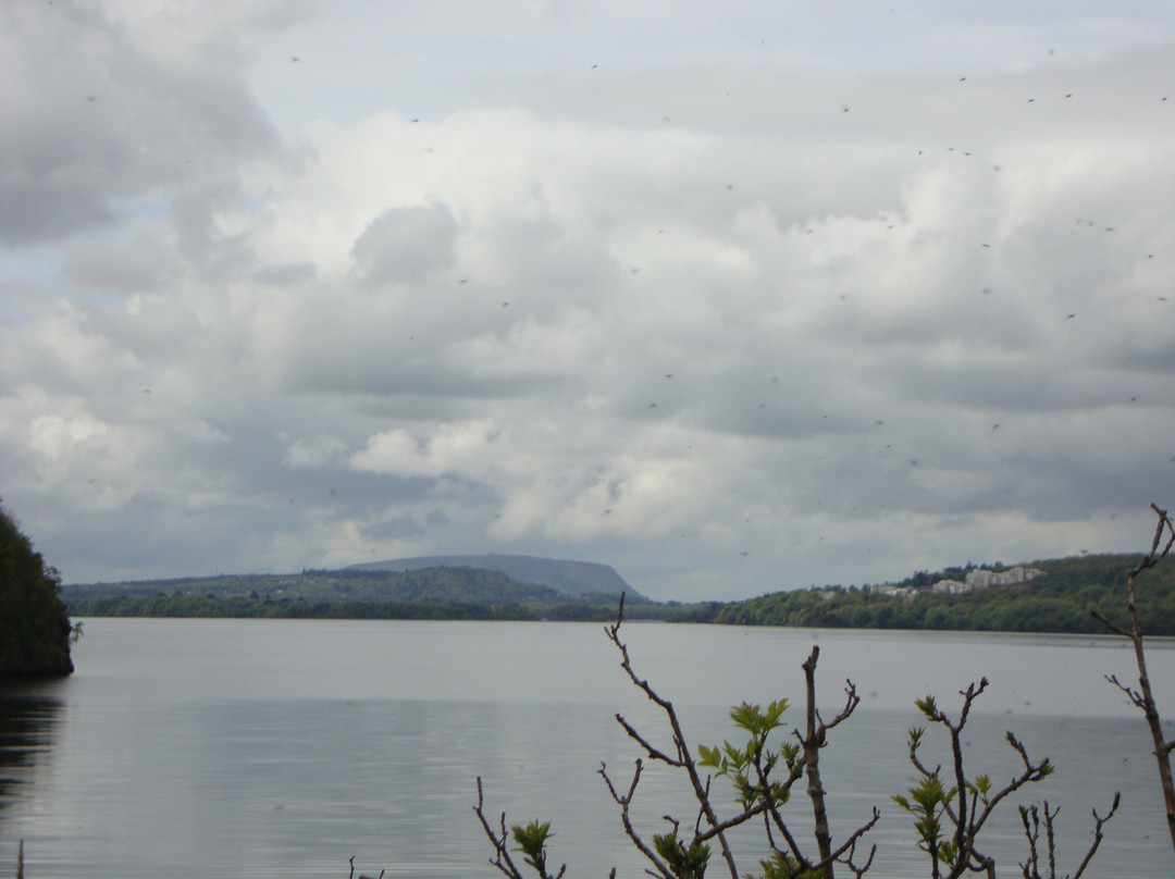 The Lough Gill Drive-斯莱戈必去景点