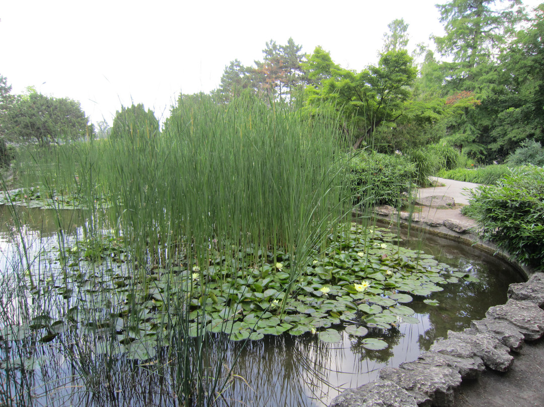 玛格丽特岛-布达佩斯必去景点