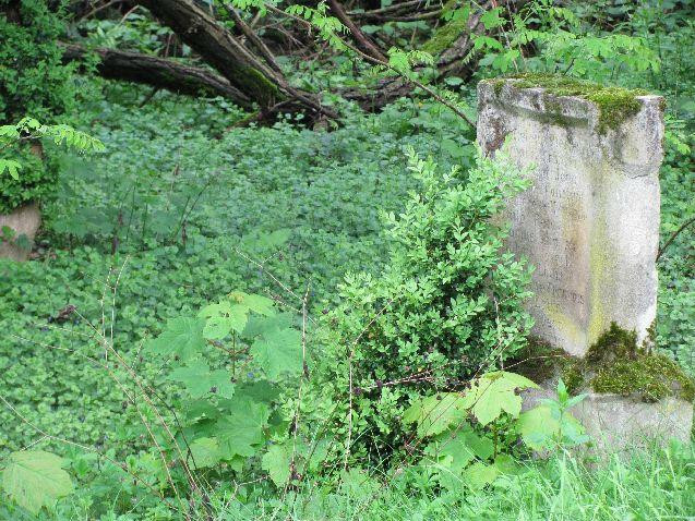 Franzosenfriedhof-科布伦茨必去景点