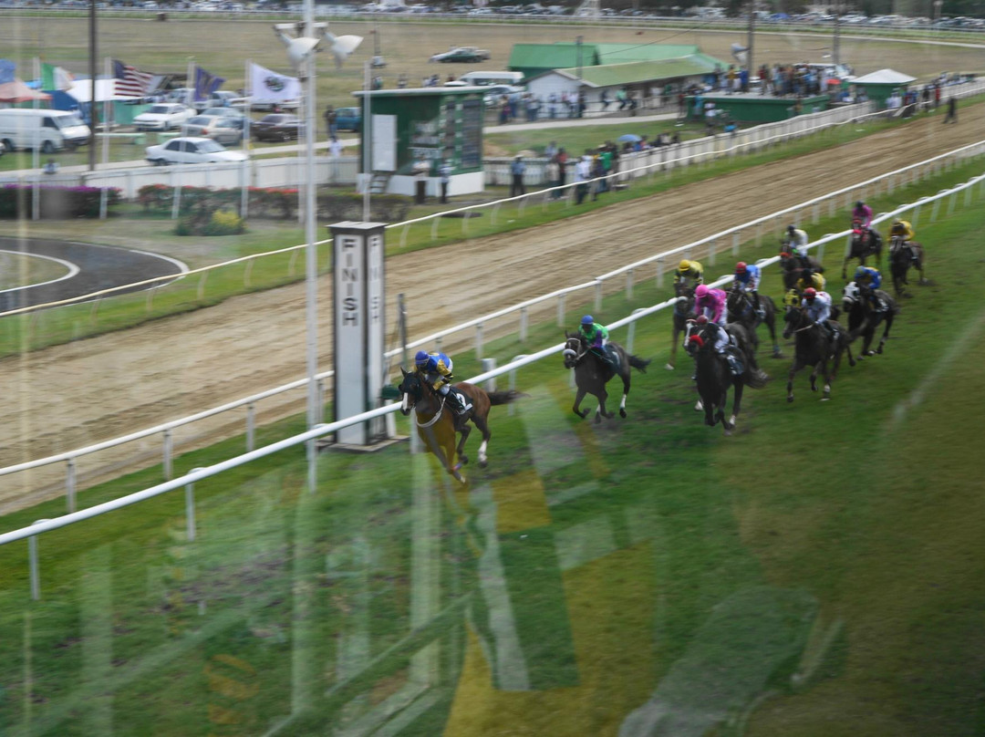 Garrison Savannah - Barbados Turf Club-布里奇顿必去景点