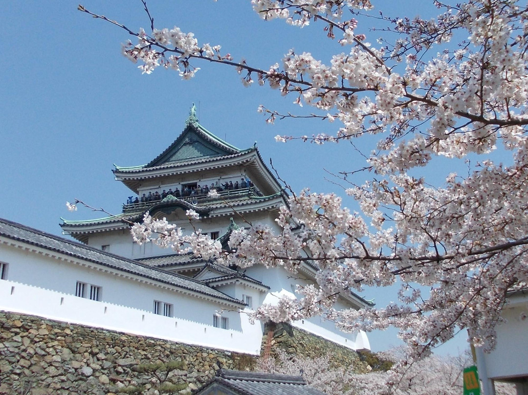 和歌山城-和歌山市必去景点
