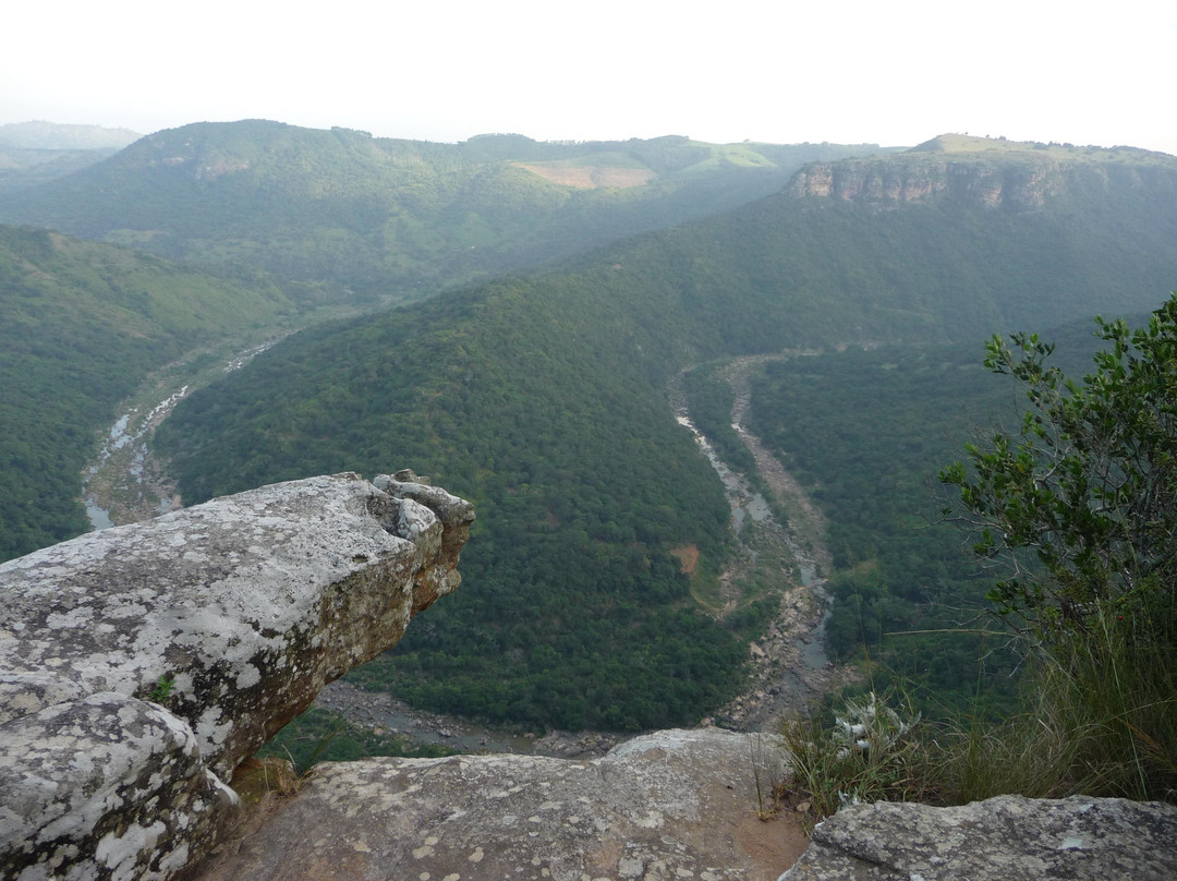 Wild 5 Adventures-Port Shepstone必去景点