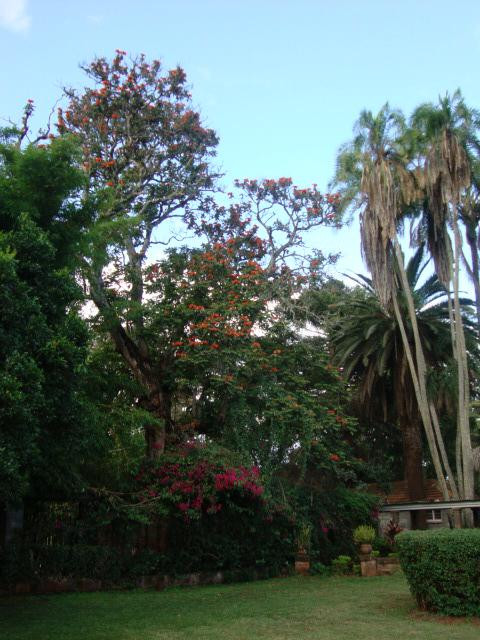 凯伦‧布里森博物馆-内罗毕必去景点