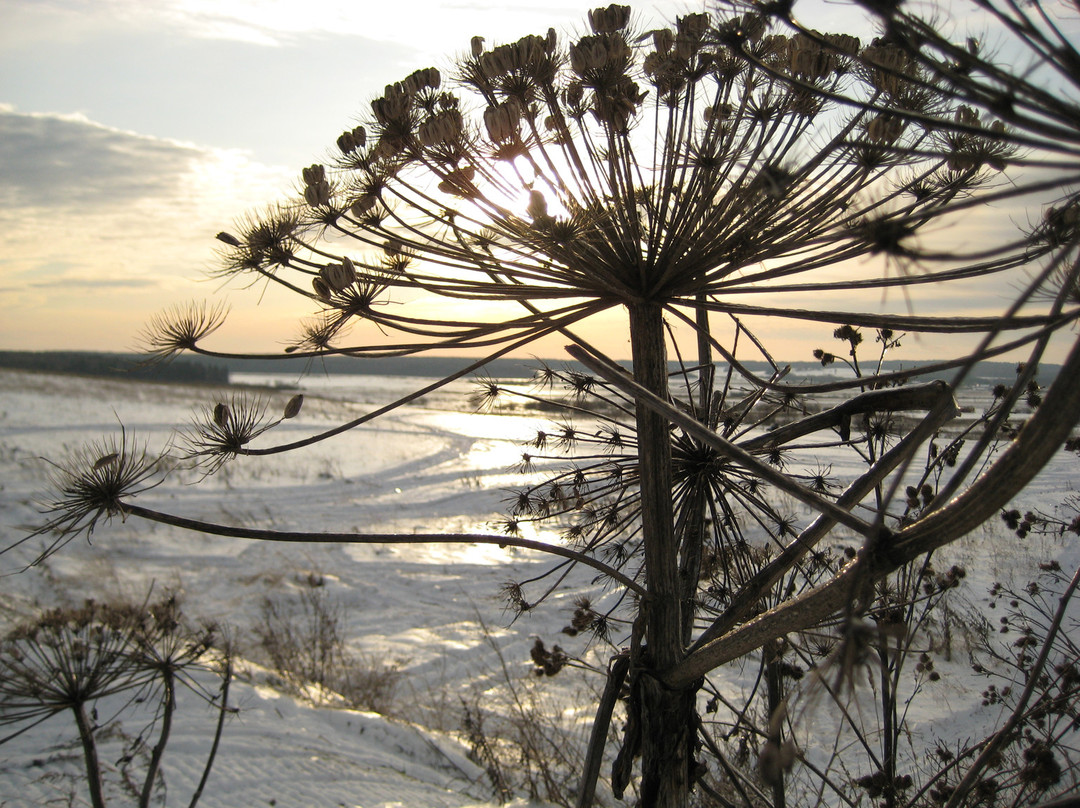 Great Field Sports and Tourist Complex景点图片