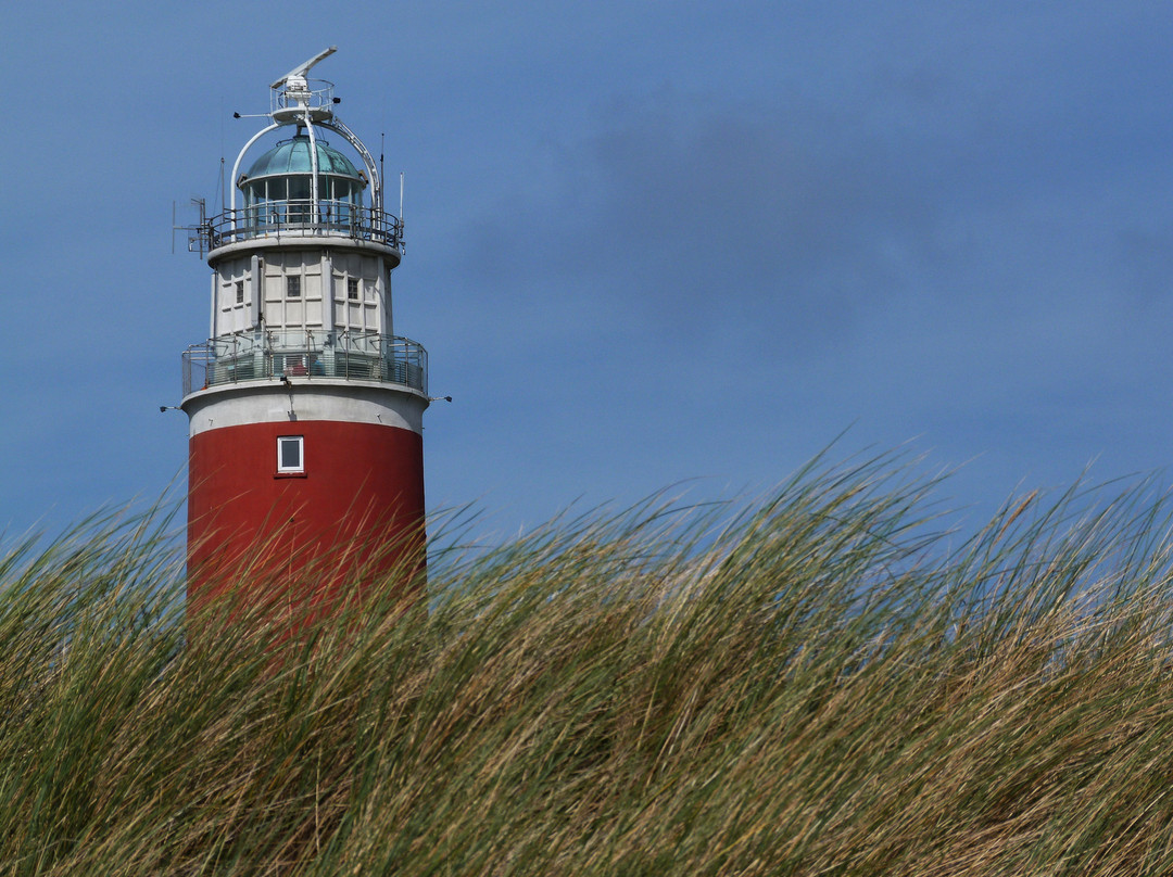 Vuurtorenweg Texel Beach景点图片