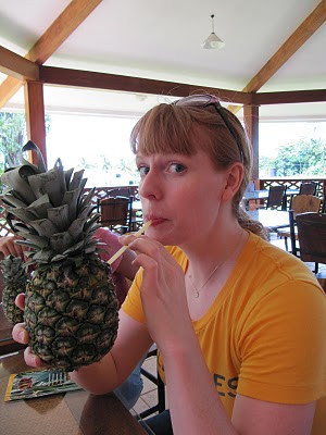 Finca Corsicana Pineapple Farm景点图片