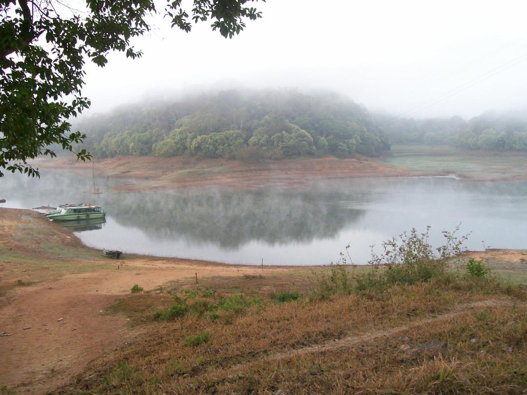 Periyar Lake景点图片