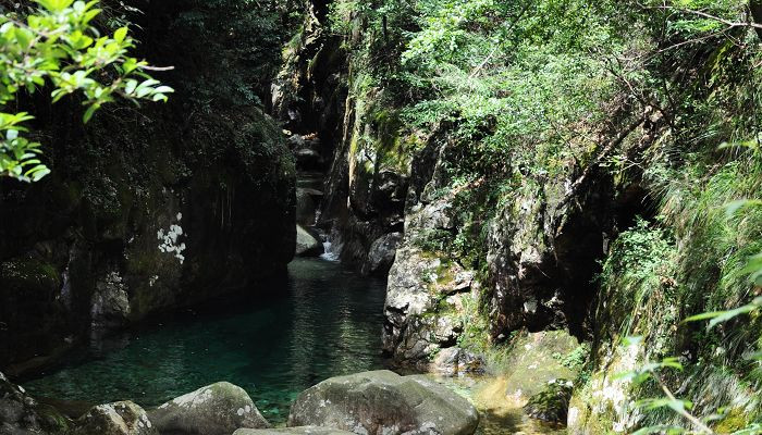 牯牛降-石台县必去景点
