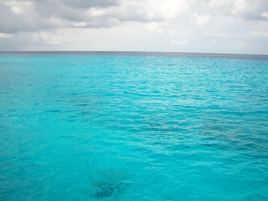Dressel Divers Cozumel-考祖梅必去景点
