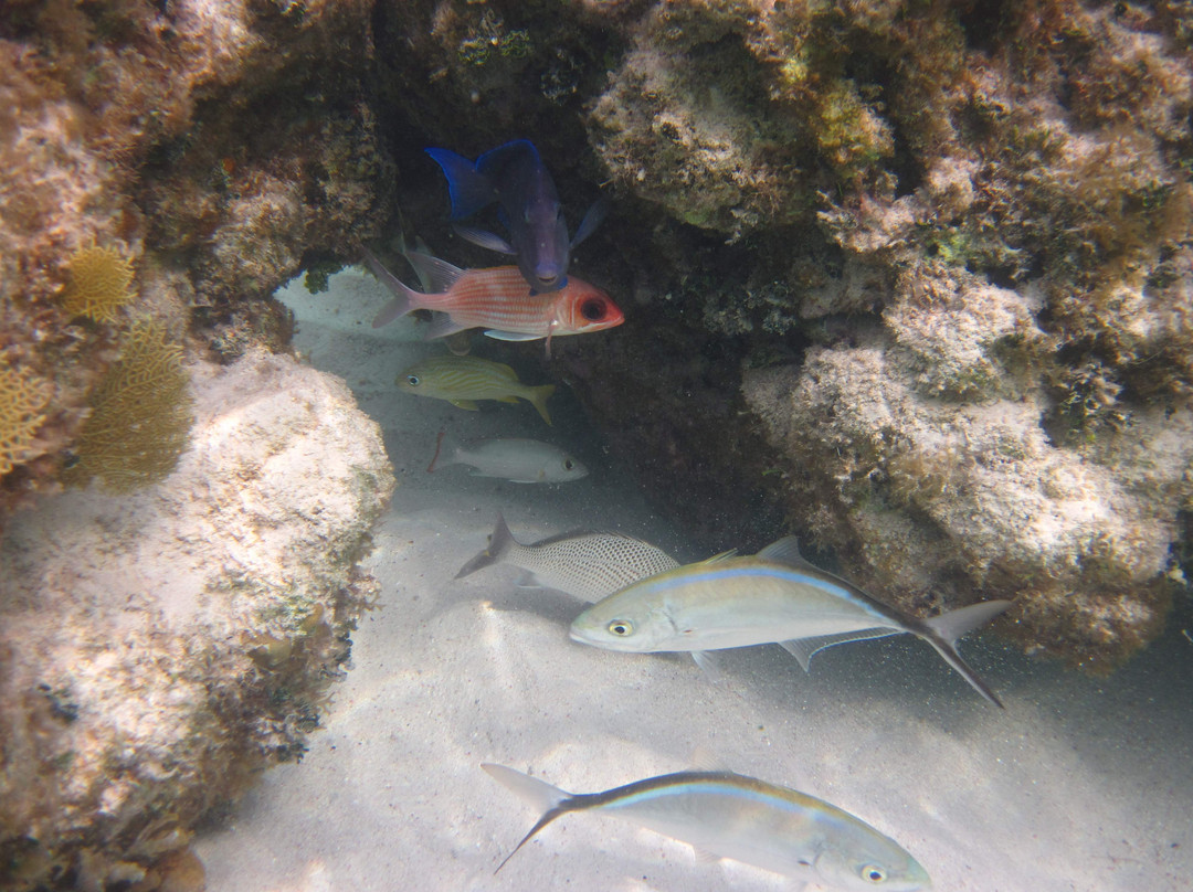 朗姆岬-大开曼岛必去景点
