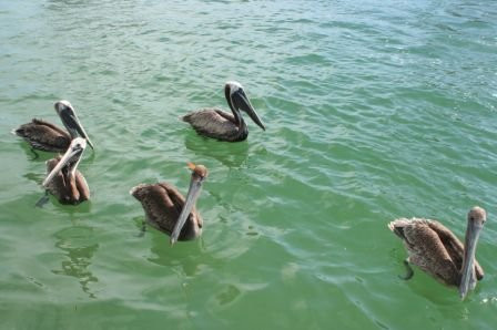 Waterway Park-威尼斯必去景点