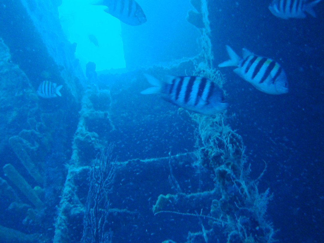 Stavronikita-布里奇顿必去景点