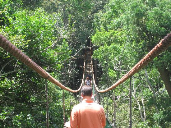 The Huguenot Guest House主图