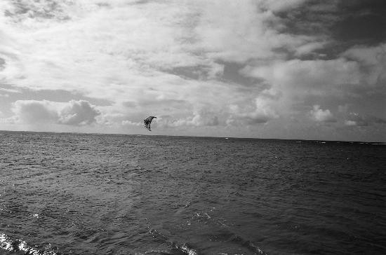 阿尼尼海滩-可爱岛必去景点