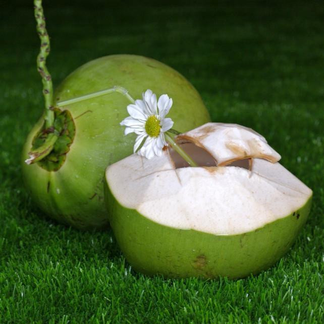 The Royal Coconut主图