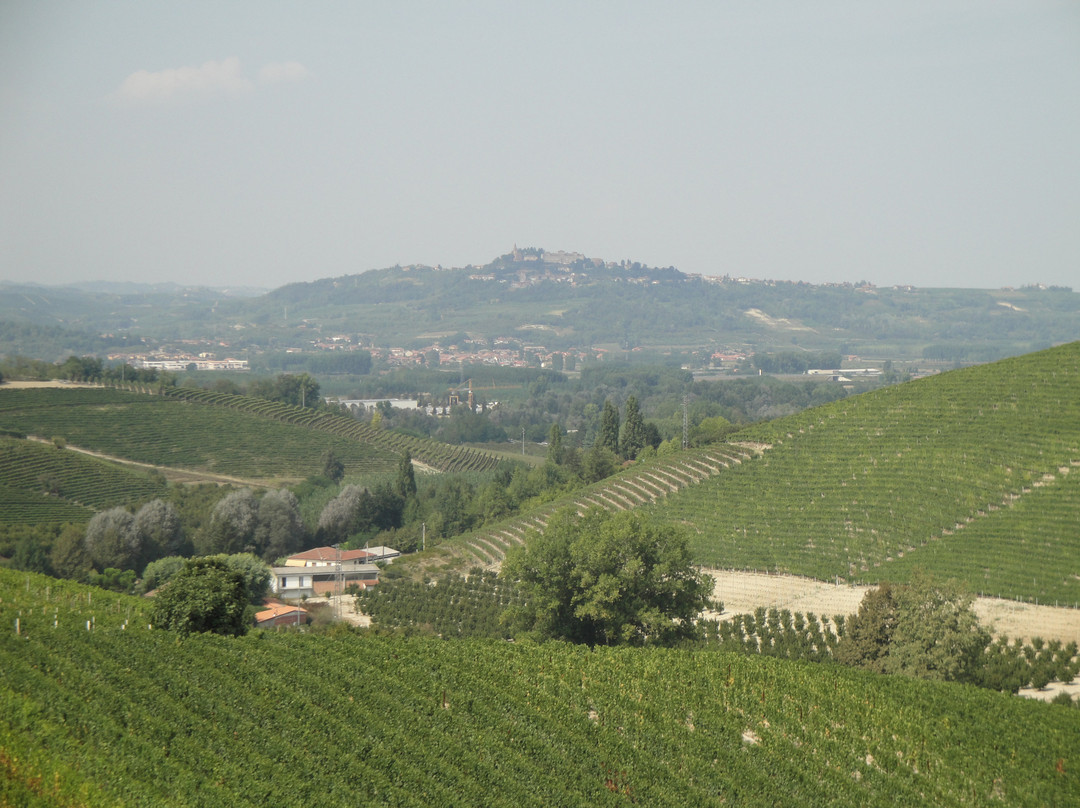 Travel Langhe  Wine Tours-Neive必去景点