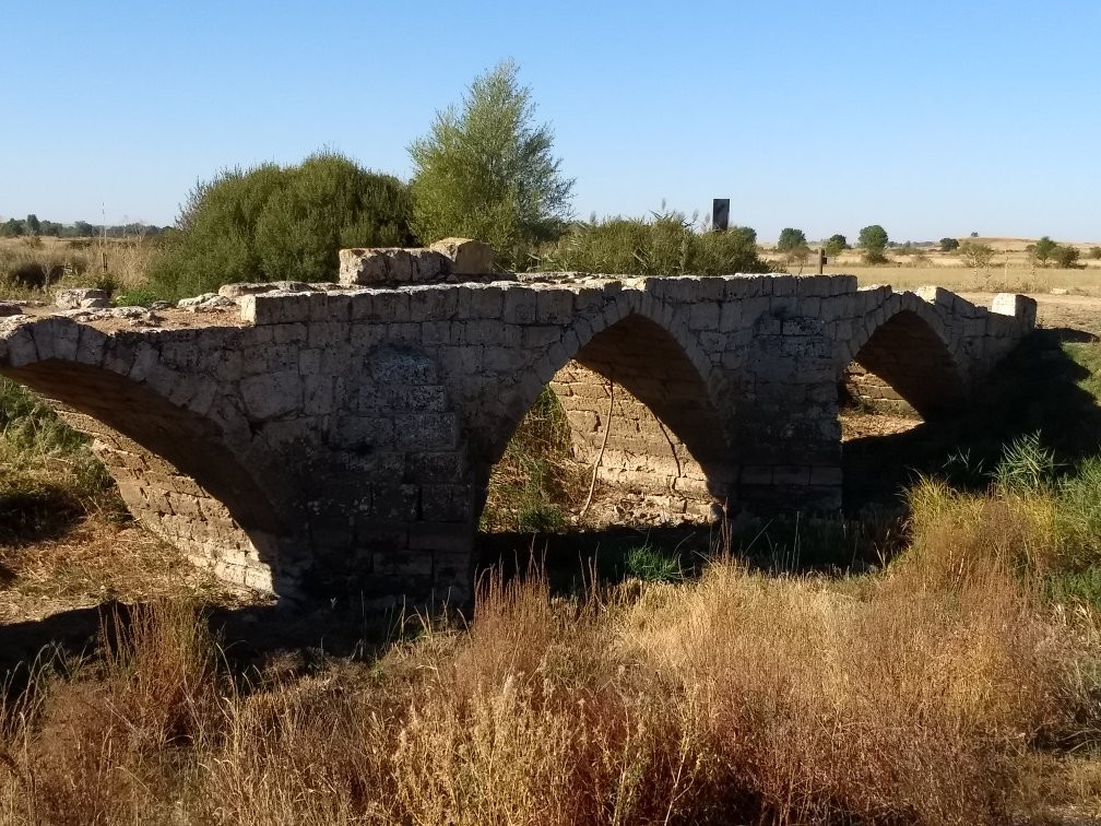 Puentes Medievales de Sasamon景点图片