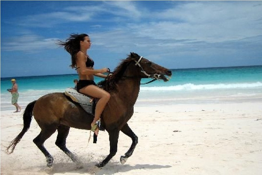 Amodou Cheval-Tamraght必去景点