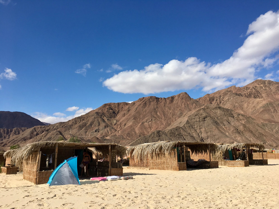 Sawa Camp