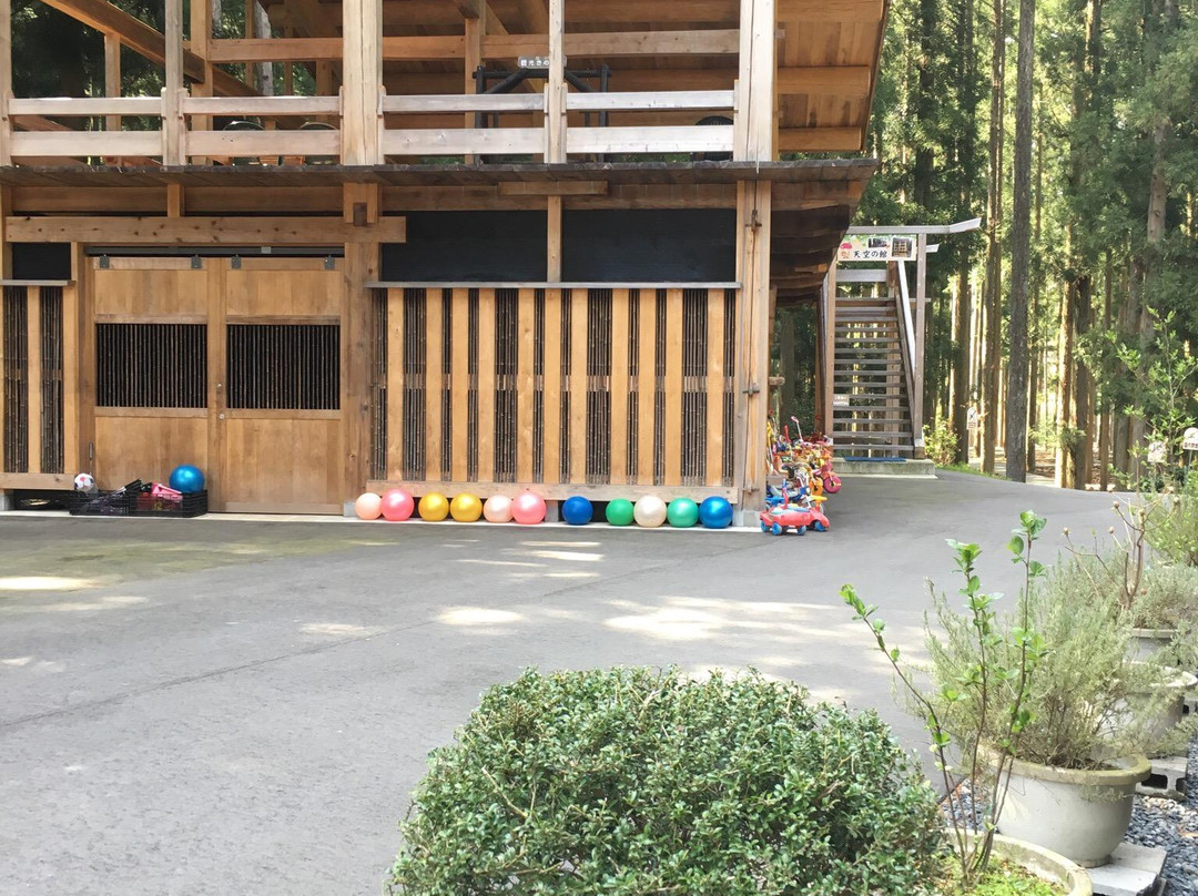 阿贺町餐馆和美食-KINOKO PARK