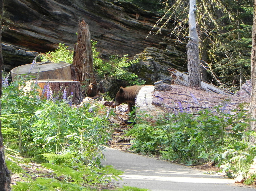 Three Rivers酒店住宿-Three Rivers Bed and Breakfast