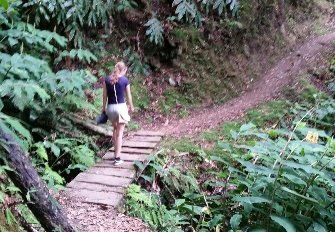 Salto do Cagarrão-Faial Da Terra必去景点