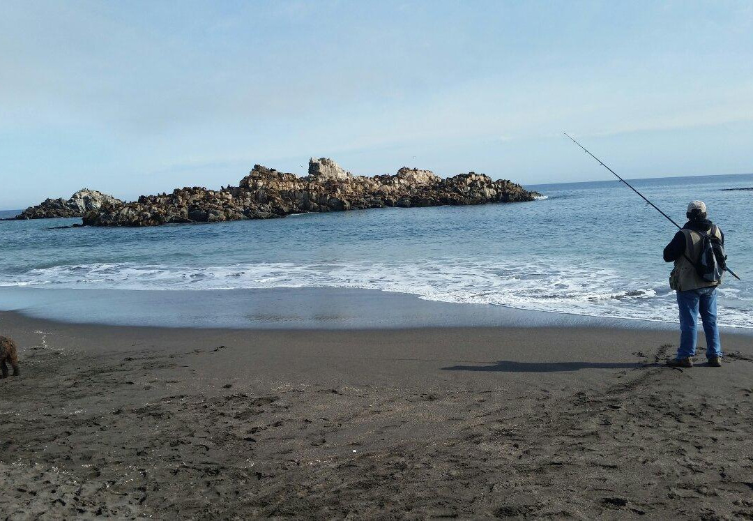 Cobquecura餐馆和美食-Rincón Marino