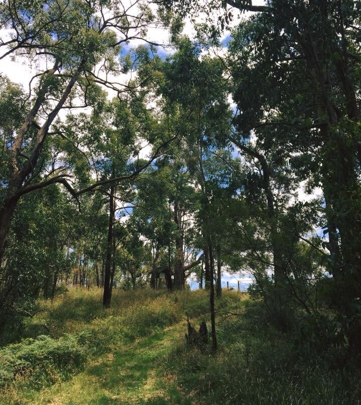 Henry Littledyke Reserve-Nyora必去景点