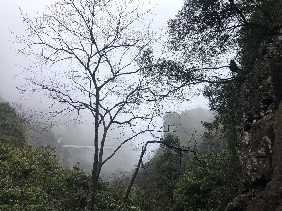 衢州药王山景点图片