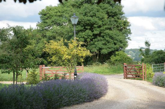 Needlehole Forge B&B主图