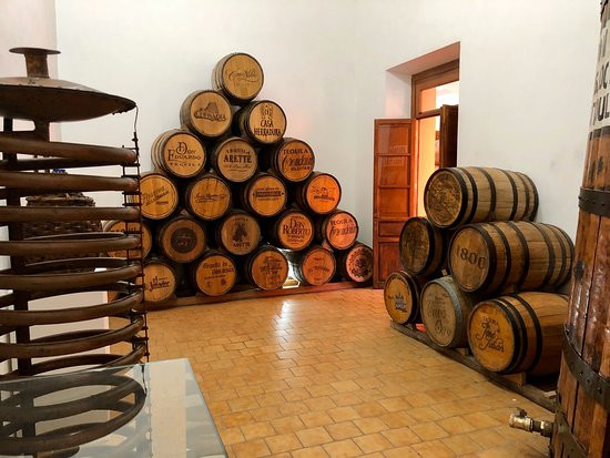 Museo Nacional del Tequila MUNAT-特基拉必去景点