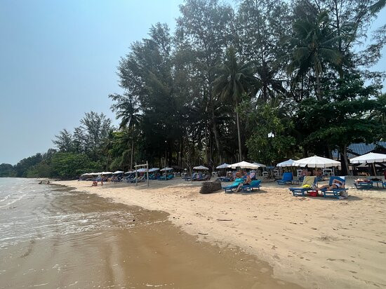 Coconut Beach景点图片