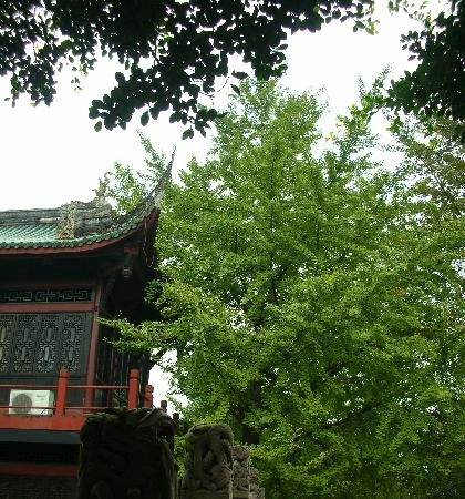 棠湖公园-双流县必去景点