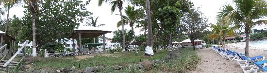 Aqua Marine Dive Center-圣 托马斯必去景点