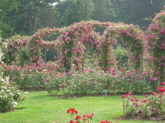 伊丽莎白公园-西哈特福德必去景点