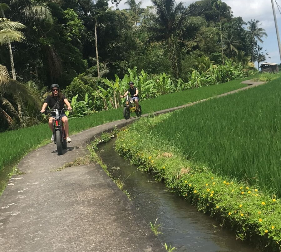 Explorer the real Ubud with Electric Fat BIike-乌布必去景点