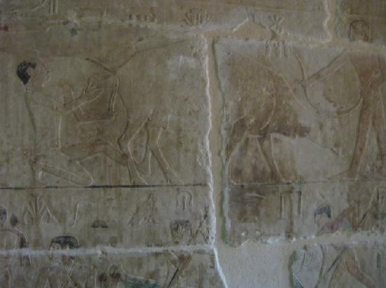 Niankhkhnum and Khnumhotep's Mastaba-Saqqara必去景点