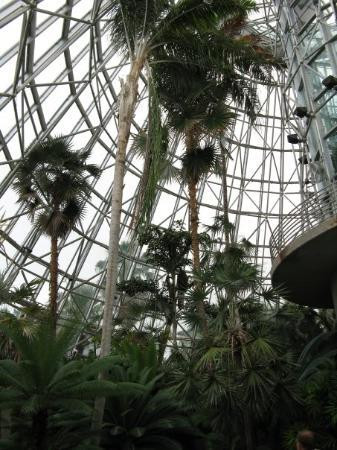 圣安东尼奥植物园-圣安东尼奥市必去景点