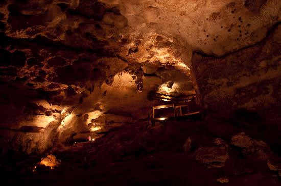 Naracoorte Caves National Park-Naracoorte必去景点