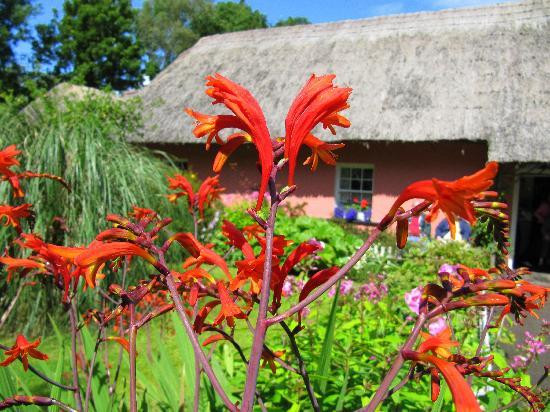 Bunratty Castle and Folk Park-Bunratty必去景点