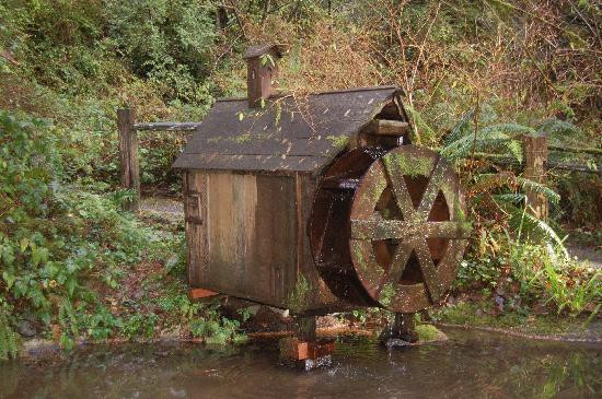 Trees of Mystery-克拉马斯必去景点