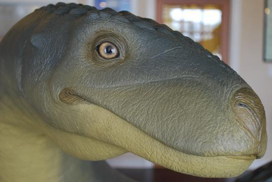 Darien-McIntosh Visitor Information Center-Darien必去景点